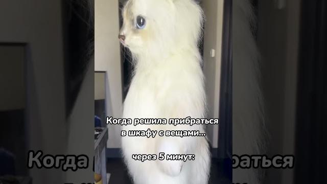 Джаред Лето #shorts Джаред Лето #shorts