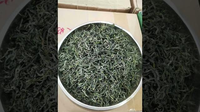 Повышает иммунитет , снижает микробную флору в организме? Если купить зеленый чай из морозильника! Повышает иммунитет , снижает микробную флору в организме? Если купить зеленый чай из морозильника!