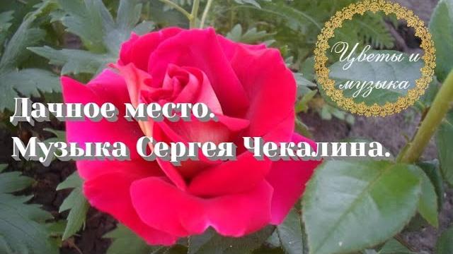 RELAX MUSIC and flowers. Лучшая музыка Сергея Чекалина Дачное место. Цветы и музыка для души. RELAX MUSIC and flowers. Лучшая музыка Сергея Чекалина Дачное место. Цветы и музыка для души.
