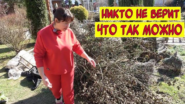 Как мы это выдерживаем? 17 лет безумия! Как мы это выдерживаем? 17 лет безумия!