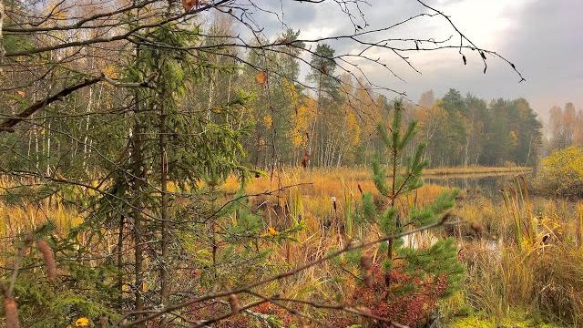 Nature 4K Nature 4K