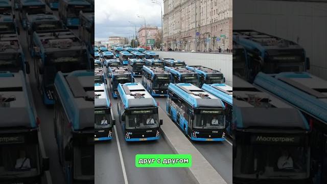 Почему московский транспорт меняет цвета? #транспорт #москва #автобусы #урбанист #мск Почему московский транспорт меняет цвета? #транспорт #москва #автобусы #урбанист #мск