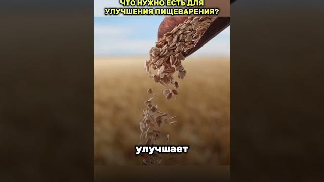 Что нужно есть для улучшения пищеварения? Что нужно есть для улучшения пищеварения?
