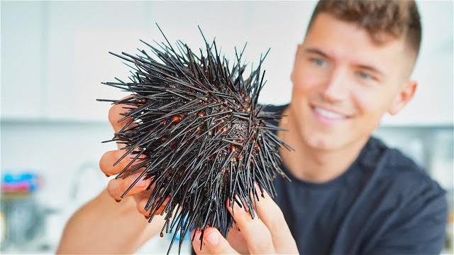 Eating Live Sea Urchin Eating Live Sea Urchin