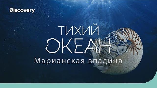 Тихий океан: Марианская впадина | На дне океана | Discovery Тихий океан: Марианская впадина | На дне океана | Discovery