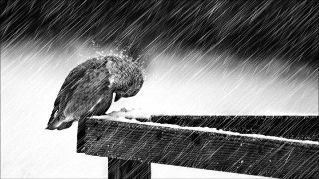 "Cold" - Jorge Méndez (Sad Piano & Violin Instrumental) "Cold" - Jorge Méndez (Sad Piano & Violin Instrumental)