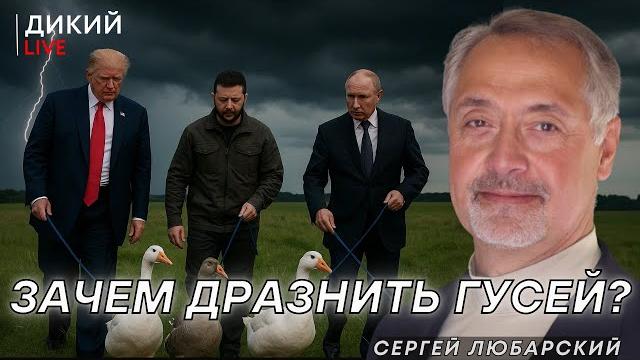 Задевая нерв. Сергей Любарский. Дикий LIVE. Задевая нерв. Сергей Любарский. Дикий LIVE.