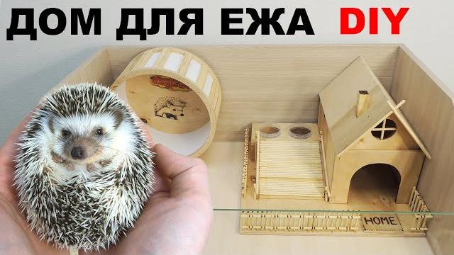 Карликовый ёж. Как сделать идеальную клетку для африканского ежа | Hedgehog house DIY. Карликовый ёж. Как сделать идеальную клетку для африканского ежа | Hedgehog house DIY.