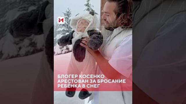 Суд Москвы заочно арестовал блогера Сергея Косенко за видео, где он бросает младенца в сугроб Суд Москвы заочно арестовал блогера Сергея Косенко за видео, где он бросает младенца в сугроб