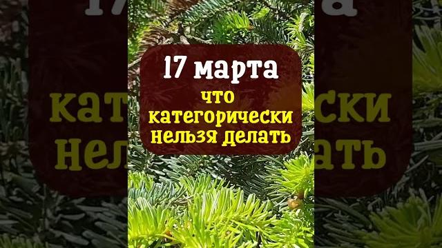 17 марта народный праздник Герасим Грачевник. Что категорически нельзя делать. Народные приметы 17 марта народный праздник Герасим Грачевник. Что категорически нельзя делать. Народные приметы