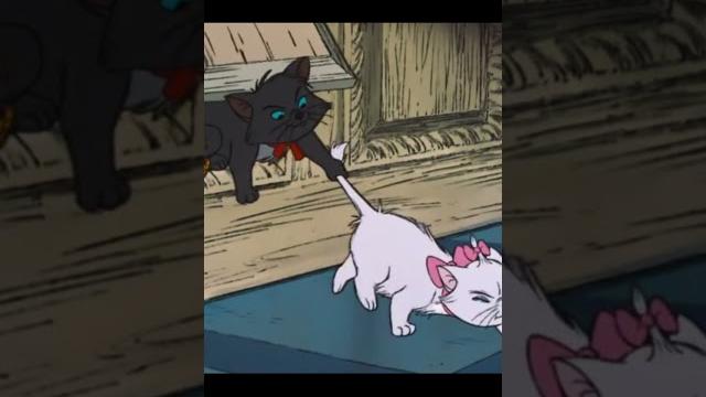 котенок - леди котенок - леди
