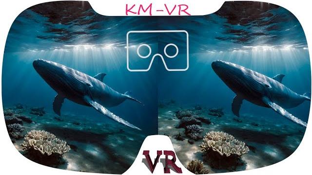 3D VR VIDEOS 526 4K 3D VR VIDEOS 526 4K