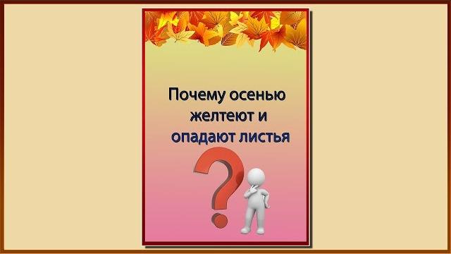 Папка передвижка почему желтеют и опадают листья Папка передвижка почему желтеют и опадают листья