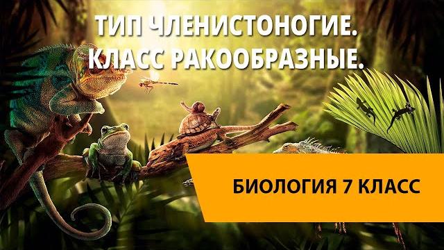 Тип Членистоногие. Класс Ракообразные. Тип Членистоногие. Класс Ракообразные.