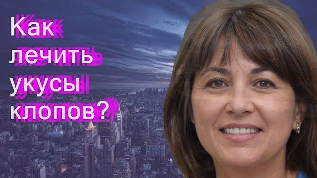 Как лечить укусы клопов? Как лечить укусы клопов?