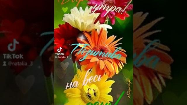 Доброе утро Улыбнись новому дню Доброе утро Улыбнись новому дню