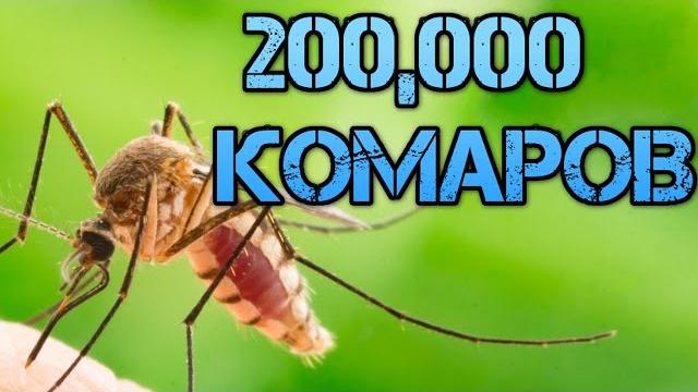 200 ТЫСЯЧ КОМАРОВ необходимо что бы высосать всю кровь из человека / почему кусают комары ? 200 ТЫСЯЧ КОМАРОВ необходимо что бы высосать всю кровь из человека / почему кусают комары ?