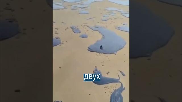 Конец курортов Краснодарского края: мазут выбросило на берег Конец курортов Краснодарского края: мазут выбросило на берег