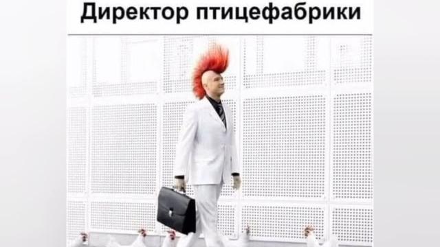 Лучшие приколы Смешные картинки Лучшие приколы Смешные картинки