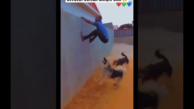 KULGULI VIDEOLAR. Rasmga ol rasmga ol #funny KULGULI VIDEOLAR. Rasmga ol rasmga ol #funny