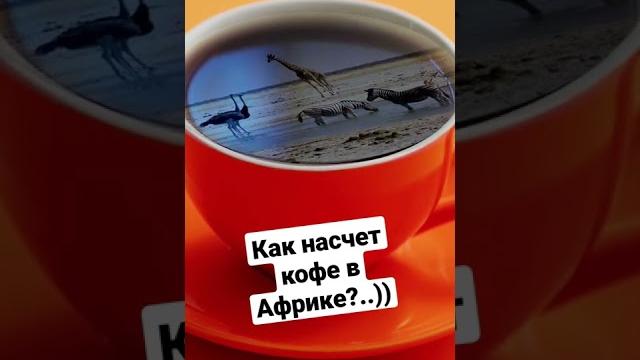 Как насчет кофе в Африке?..)) #shorts Как насчет кофе в Африке?..)) #shorts