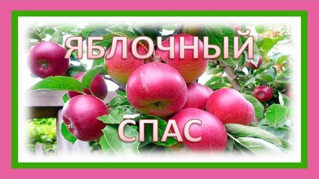Праздник Яблочный спас Преображение Господне Праздник Яблочный спас Преображение Господне