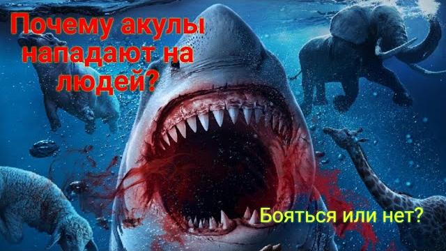 Почему АКУЛЫ НАПАДАЮТ на людей? Почему АКУЛЫ НАПАДАЮТ на людей?