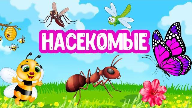 НАСЕКОМЫЕ развивающее видео для детей НАСЕКОМЫЕ развивающее видео для детей