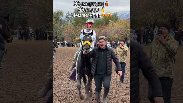 11 ноября 2024 г. 11 ноября 2024 г.