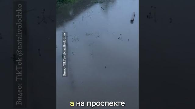 Дождь в Витебске затопил не только улицы — самое печальное, вода пошла во дворы и подъезды Дождь в Витебске затопил не только улицы — самое печальное, вода пошла во дворы и подъезды