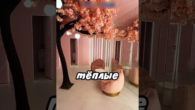 Показывает как отличаются туалеты Показывает как отличаются туалеты