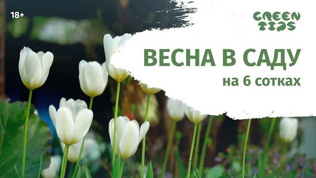 Сад на 6 сотках весной. Обзор сада. Сад на 6 сотках весной. Обзор сада.