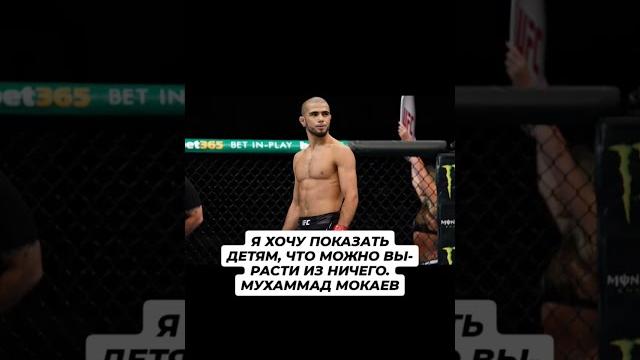Мухаммад Мокаев Мухаммад Мокаев