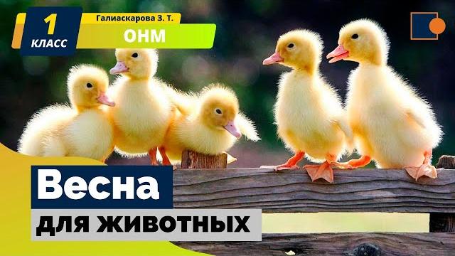 ОНМ. Весна для животных. ОНМ. Весна для животных.