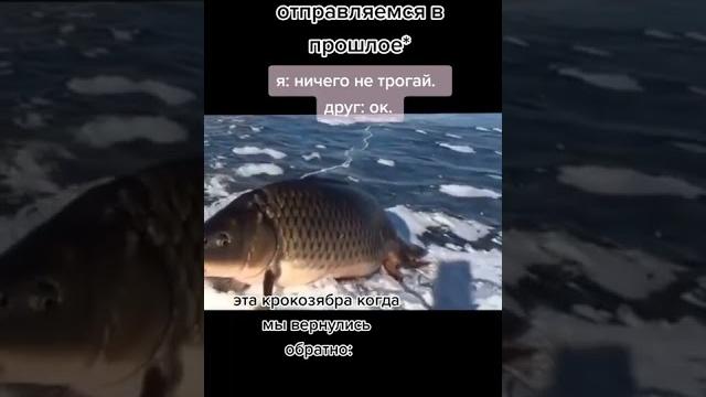 мем из тиктока #тикток #мемы #ржака #смех #жиза #юмор #смешно #угар #прикол #весело #шутки #shorts мем из тиктока #тикток #мемы #ржака #смех #жиза #юмор #смешно #угар #прикол #весело #шутки #shorts