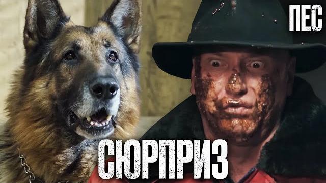 НЕОЖИДАННЫЙ СЮРПРИЗ! Смешной Детектив 2023 - Сериал ПЕС 2023 - Лучшие серии НЕОЖИДАННЫЙ СЮРПРИЗ! Смешной Детектив 2023 - Сериал ПЕС 2023 - Лучшие серии