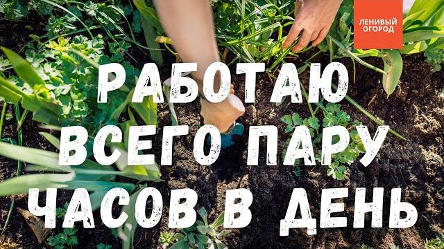 Огород без хлопот | Огородные работы НЕ более пары часов/день: перекопка, полив, прополка, подкормки Огород без хлопот | Огородные работы НЕ более пары часов/день: перекопка, полив, прополка, подкормки