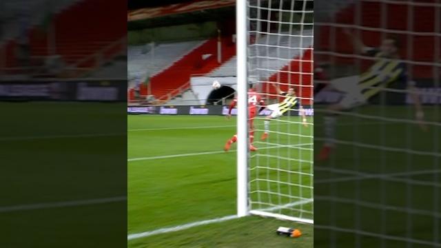 The football the finish The football the finish
