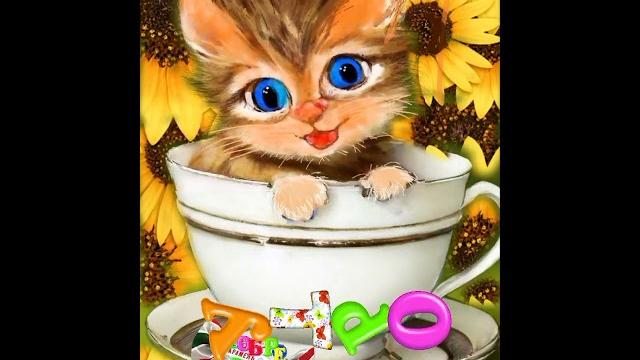 ДОБРОЕ УТРО ️ #котики #кошки #приколы ДОБРОЕ УТРО ️ #котики #кошки #приколы