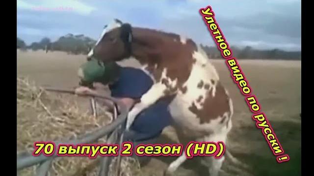 Улетное видео по русски ! 70 выпуск 2 сезон (HD) Улетное видео по русски ! 70 выпуск 2 сезон (HD)