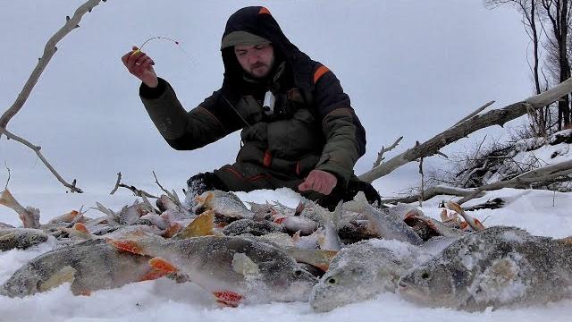 НА СВАЛЕ В ЯМУ, ГДЕ ЖИВУТ КАБАНЫ!! Рыбалка на Оби в коряжнике. Крупный окунь на безмотылку. НА СВАЛЕ В ЯМУ, ГДЕ ЖИВУТ КАБАНЫ!! Рыбалка на Оби в коряжнике. Крупный окунь на безмотылку.