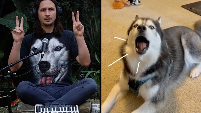 The Kiffness X Haiku The Husky - Ancient Husky Melody The Kiffness X Haiku The Husky - Ancient Husky Melody