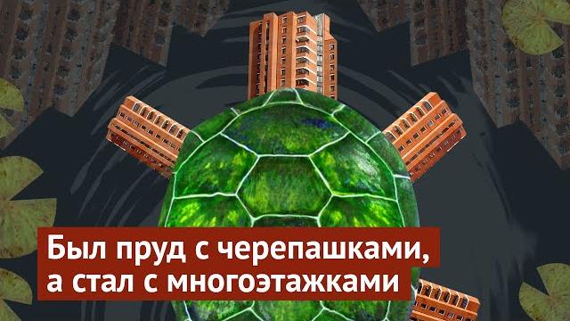 Новороссийск: прекратите уродовать город Новороссийск: прекратите уродовать город