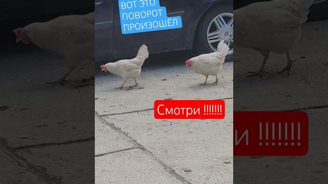 Кто ты ВОИН?????. Кто ты ВОИН?????.