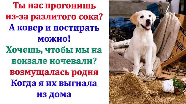 Мы уже 3 гостиницы объехали. В столице цены такие огромные! Можно мы еще чуть-чуть у тебя поживем? Мы уже 3 гостиницы объехали. В столице цены такие огромные! Можно мы еще чуть-чуть у тебя поживем?