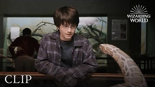 Harry and the Snake | Harry Potter and the Philosopher's Stone Harry and the Snake | Harry Potter and the Philosopher's Stone
