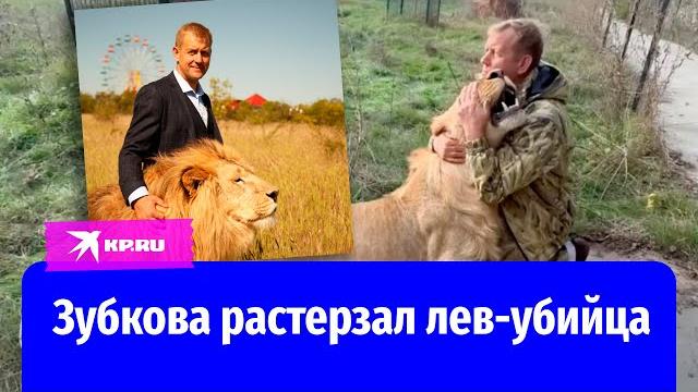Директора сафари-парка «Тайган» растерзал лев из Мариуполя, который уже убивал человека? Директора сафари-парка «Тайган» растерзал лев из Мариуполя, который уже убивал человека?