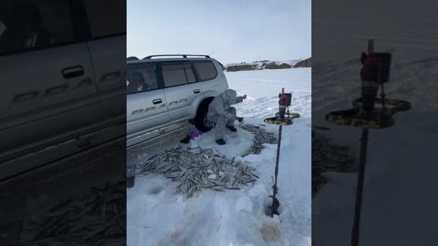Чукотка, Анадырь Чукотка, Анадырь