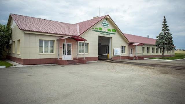 Новенькую свинарку искупали в кипятке. Новенькую свинарку искупали в кипятке.