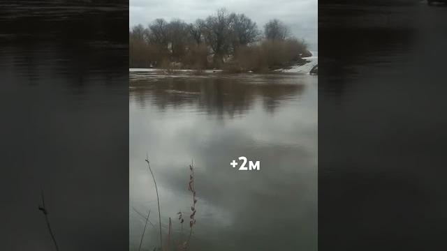 Уровень реки Ишим Уровень реки Ишим